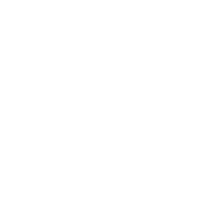 0x0D06F00D's emblem