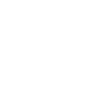 17539135250290's emblem