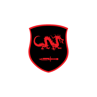 Section4661's emblem