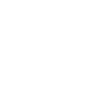BraverMercenary's emblem