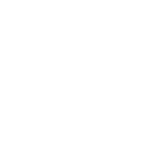 F4Y0's emblem