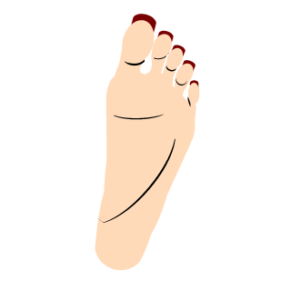 Salmonelle's emblem