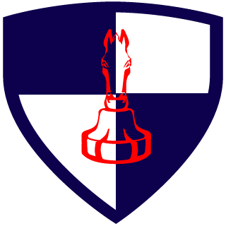 Cyb3rjackal's emblem
