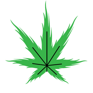 SEPTEMBER1977's emblem