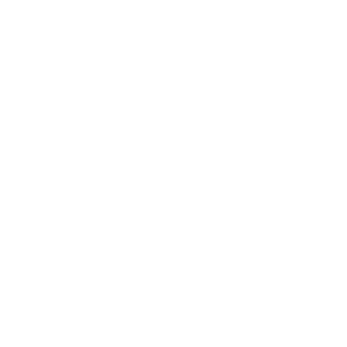 20lijiewen's emblem