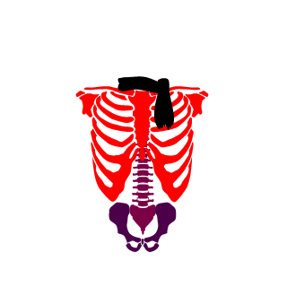 zamasta's emblem
