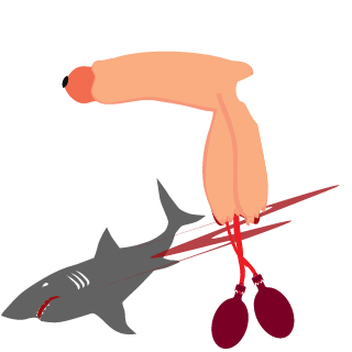 NatzSchnege_21's emblem