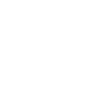 Nanoow's emblem