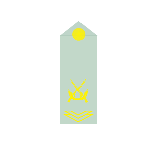zq07w's emblem