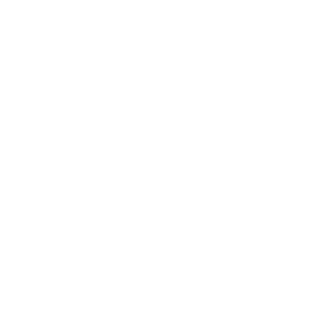 TwisterWinds's emblem
