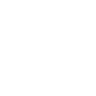 FireB4lls's emblem
