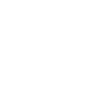 MTSNe1's emblem