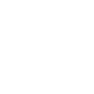 0paaulo0's emblem