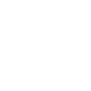 TheArtUkr's emblem