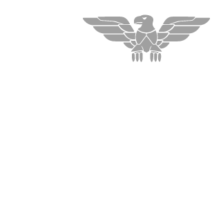 h0ld7's emblem