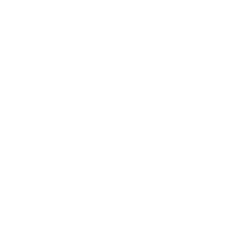 Dassault xZ's emblem