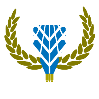 Cypher302's emblem