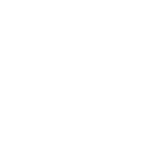 Rakii310's emblem