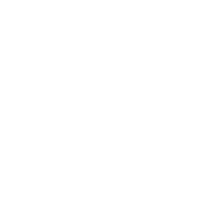 sani851's emblem