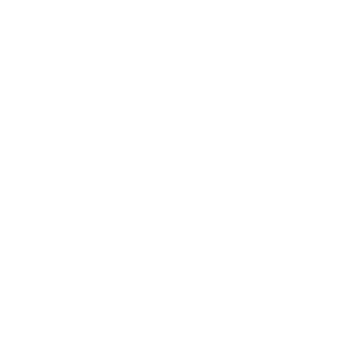 22wmr's emblem