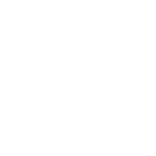 SlasherAshYT's emblem