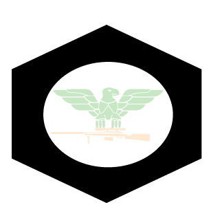Dssa329's emblem
