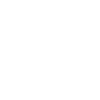 EPCronic's emblem