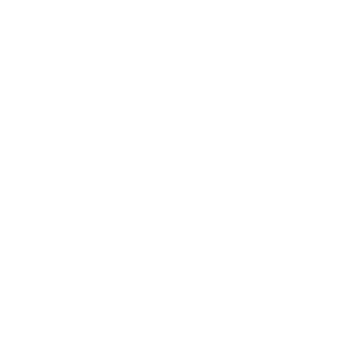JohnMcLane1325's emblem