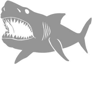 NoodIeGuy64's emblem
