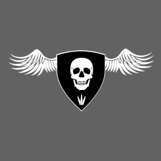 RobotWizard93's emblem