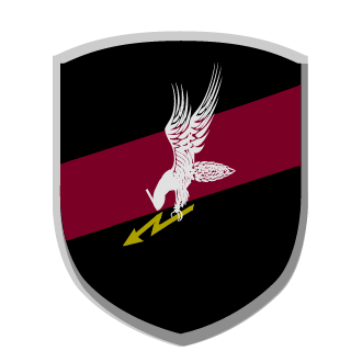 TheFallenRonin's emblem