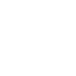 Holden_747's emblem