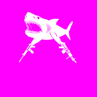 HavocSupremecy's emblem