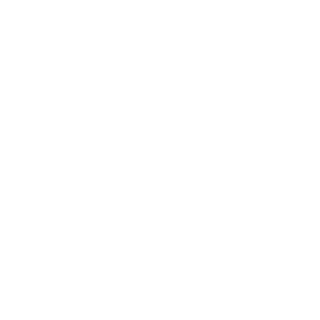 maiquinhofalkao's emblem