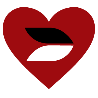 Novk4's emblem