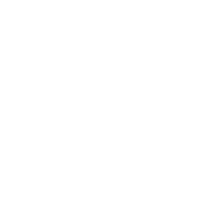 fi1game's emblem
