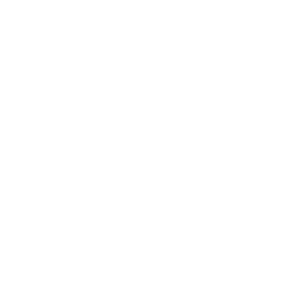 NewInstance's emblem