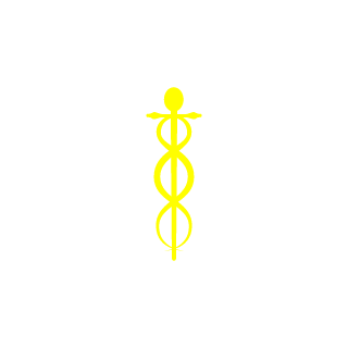 xiaojin19's emblem