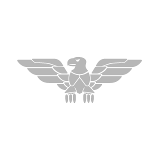 SleeptMooN's emblem