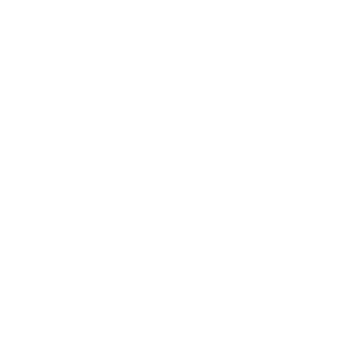 DFbit's emblem