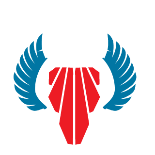 NVG39rus's emblem