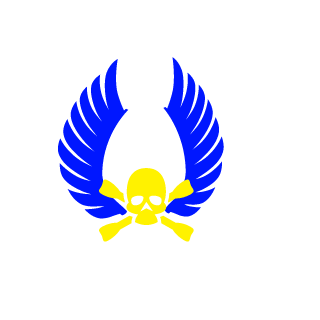 tyfighter270's emblem