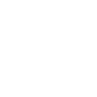 Dedi_voevali1488's emblem