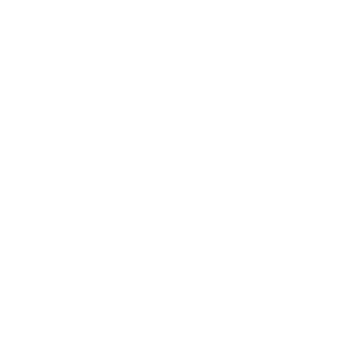 IIIIIIIllllllII's emblem