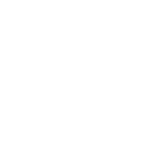 Stranik96's emblem