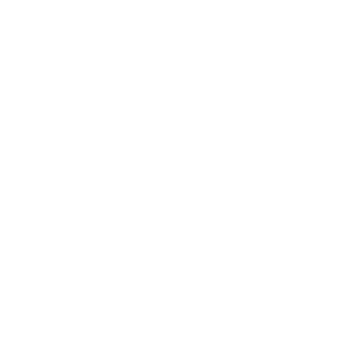shonkkkarti's emblem