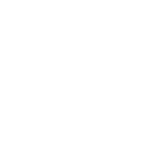 Aerality's emblem