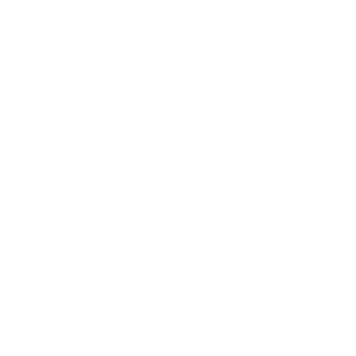 Noodlez42's emblem