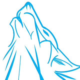UluyanPusu's emblem