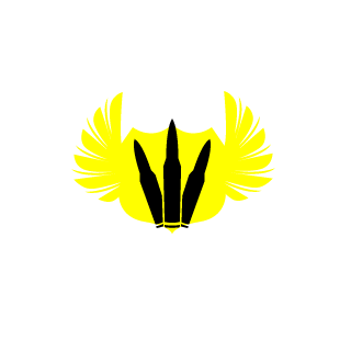 NotUrAverageCat's emblem